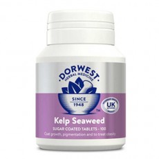 Dorwest – Kelp Seaweed tablets 強效海藻丸 100粒